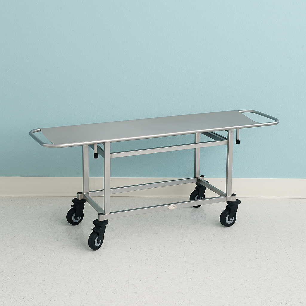 ChatGPT Image Aug 5, 2025, 08_00_42 PM